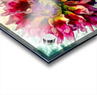 Dreaming of Dahlias Acrylic print