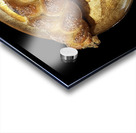 Long and round challah bread loaves Acrylic print