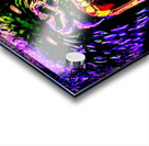 Mad Gorilla  Acrylic print