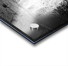 Everyday Lifes Moments- Dog Walking Two Acrylic print