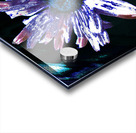 Abstract Daisy Flower Dark Background Acrylic print