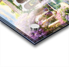 Where She Dreams Acrylic print