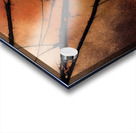 Bare Branches at Sundown Acrylic print