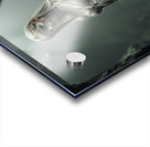 Muted Greyish  Acrylic print