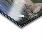 Respectful One Takaya Acrylic print