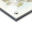 Australian Golden Whistler Acrylic print