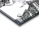 Lukas2Invert Acrylic print