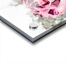 Abstract Rose Garden Acrylic print