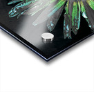 Abstract Daisy Green Petals Acrylic print