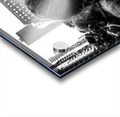 Dream  Acrylic print