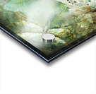 Feathers Of Grace Acrylic print