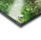 Trail Bridge - 9 Mile Run Acrylic print