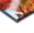 UNBELIEVABLE FOREST FOLIAGE Acrylic print