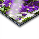 CLIMATIS ON THE TRELLIS Acrylic print