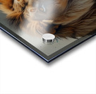 Leonardo Lightning XL Water color style for lion Acrylic print