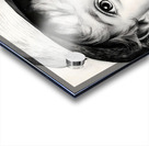 Cameron Acrylic print