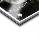 Wart Hog Business Meeting Acrylic print