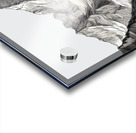 Mount Everest Etch Acrylic print