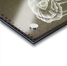 how high_1568752190.5308 Acrylic print