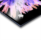 Abstract Daisy on a Dark Background Acrylic print