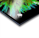 Abstract Daisy in Contrast Acrylic print