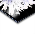 Abstract Daisy Too Acrylic print