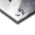 Mustangs Acrylic print