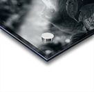 Lookin to the Sky B&W Acrylic print