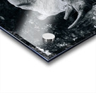 Thanks for Noticin Me Acrylic print