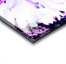 Abstract Daisy Blue Centre Acrylic print