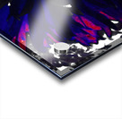 Abstract Purple and Red Daisy Acrylic print