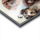 Friends Sitting Nicely Acrylic print