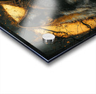 Mystic Wolf Under the Moon Acrylic print