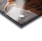 Prince Acrylic print