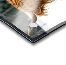 Ginette Acrylic print