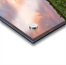 Sunshine blues Acrylic print