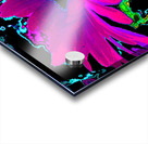 Abstract Neon Contrasting Daises Acrylic print