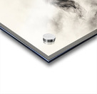 White horse stallion runs gallop over bright background	 Acrylic print