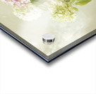 Beautiful white and pink hortensia flowers in vase on table	 Acrylic print