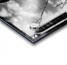 Everyday Lifes Moments- Black and White Sun Shadows in the Scottish Highlands  Acrylic print