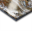 Abstract Ice Patterns Acrylic print