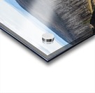 Burned Forest Acrylic print