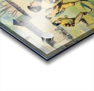 1891 Football Art Remix Acrylic print