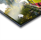 City Park Delight Acrylic print