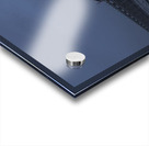 1000034888[1] Acrylic print