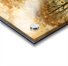 Trees in Morning Acrylic print