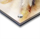 Feather Greetings Acrylic print