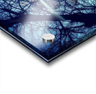 48682265032_ee32617aa9_o Acrylic print