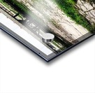 48682091836_f83981afe6_o Acrylic print