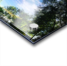 48681753948_12afc046a0_o Acrylic print